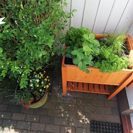 Beyer * Ostseebad Kühlungsborn